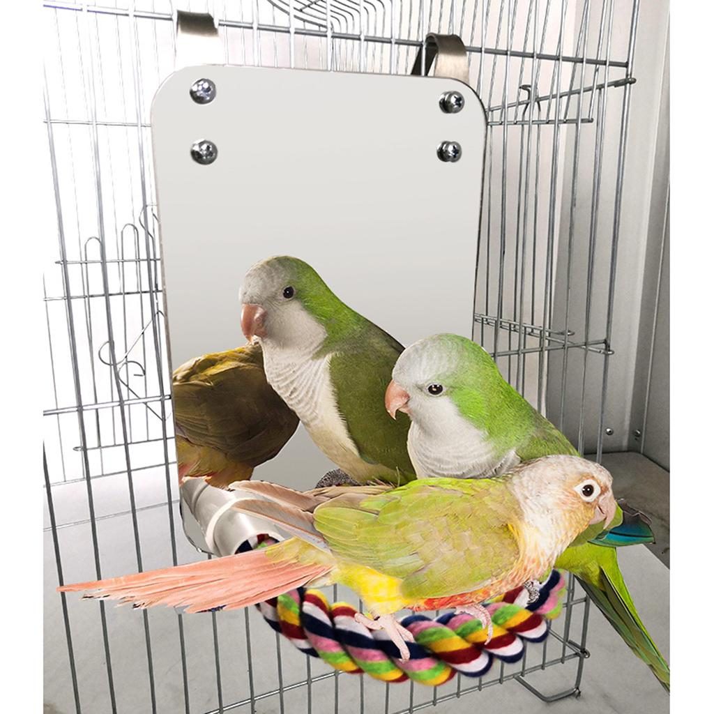 Птичье зеркало с окуньем Попугай Стенд Toy для маленьких попугаев Conure  Неразлучники купить недорого — выгодные цены, бесплатная доставка, реальные  отзывы с фото — Joom