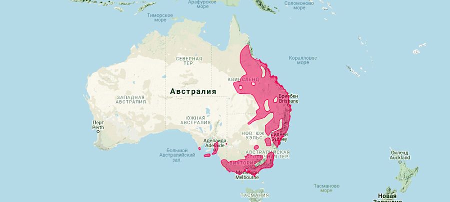 ареал проживання коали на карті