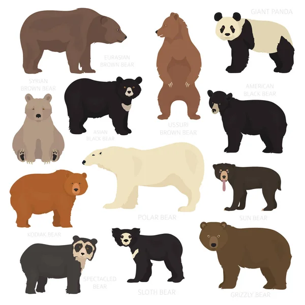 depositphotos_279941008-stock-illustration-all-world-bear-species-in